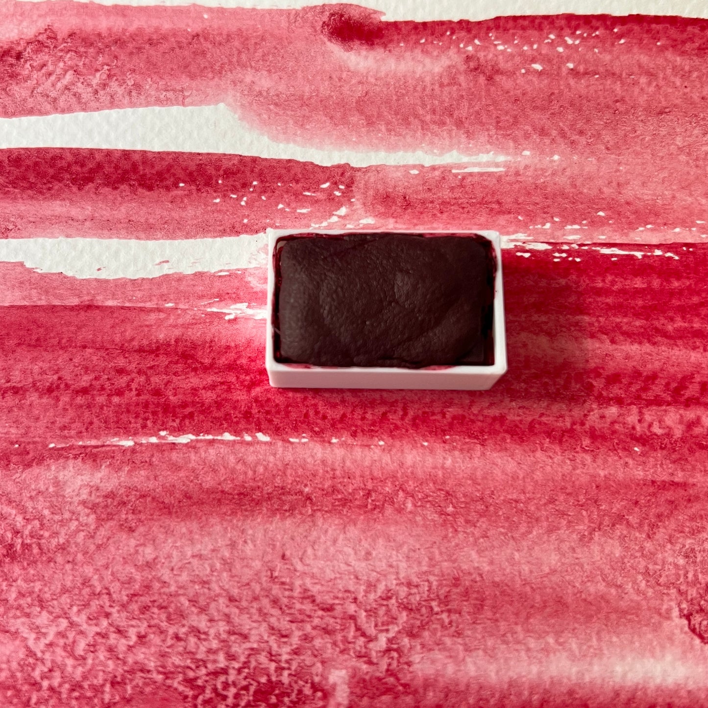 Wild Sumac. Individual pan of handmade watercolor paint