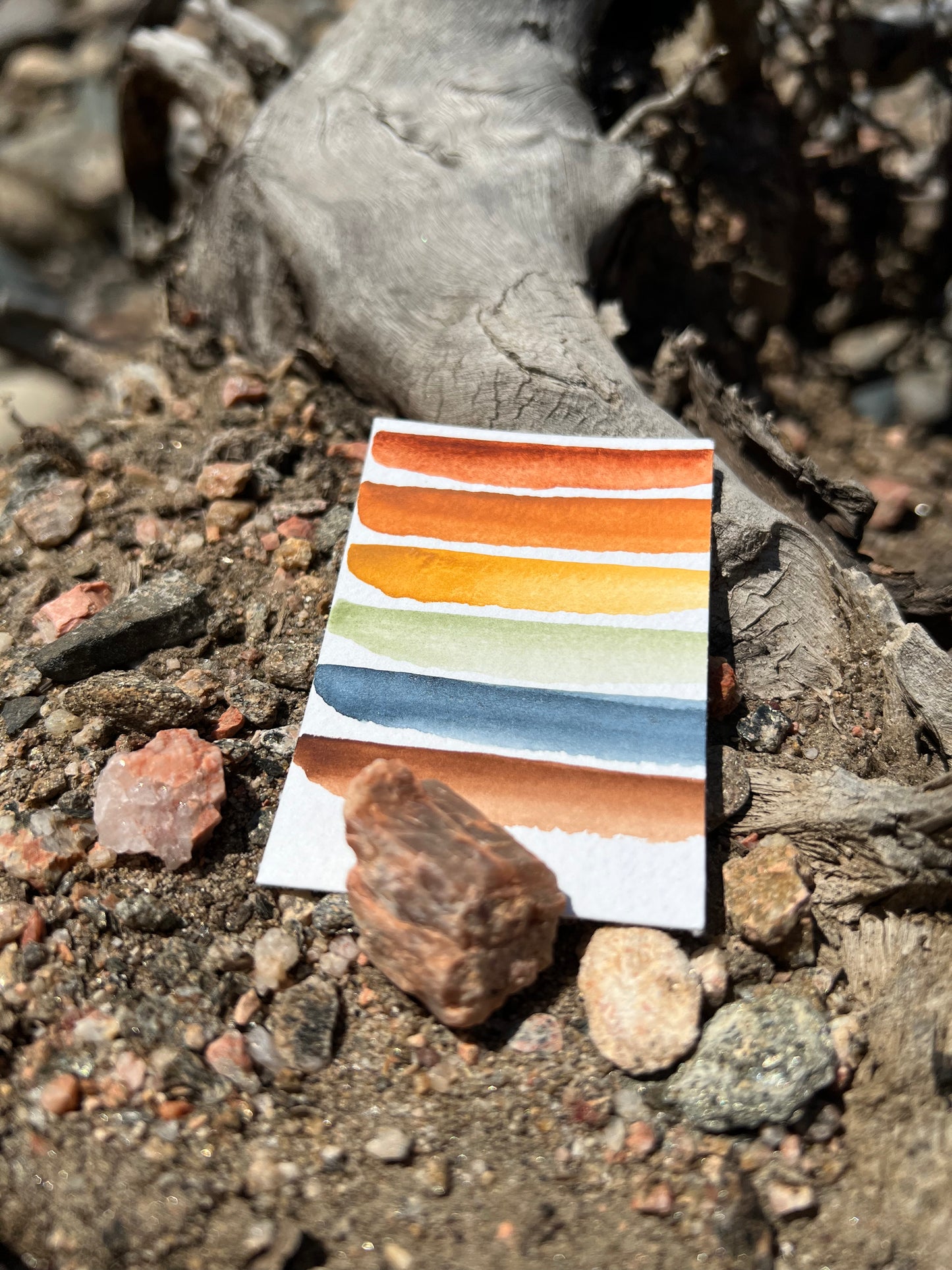 Wood Earthy Palette, from the Fresh and Earthy Collection