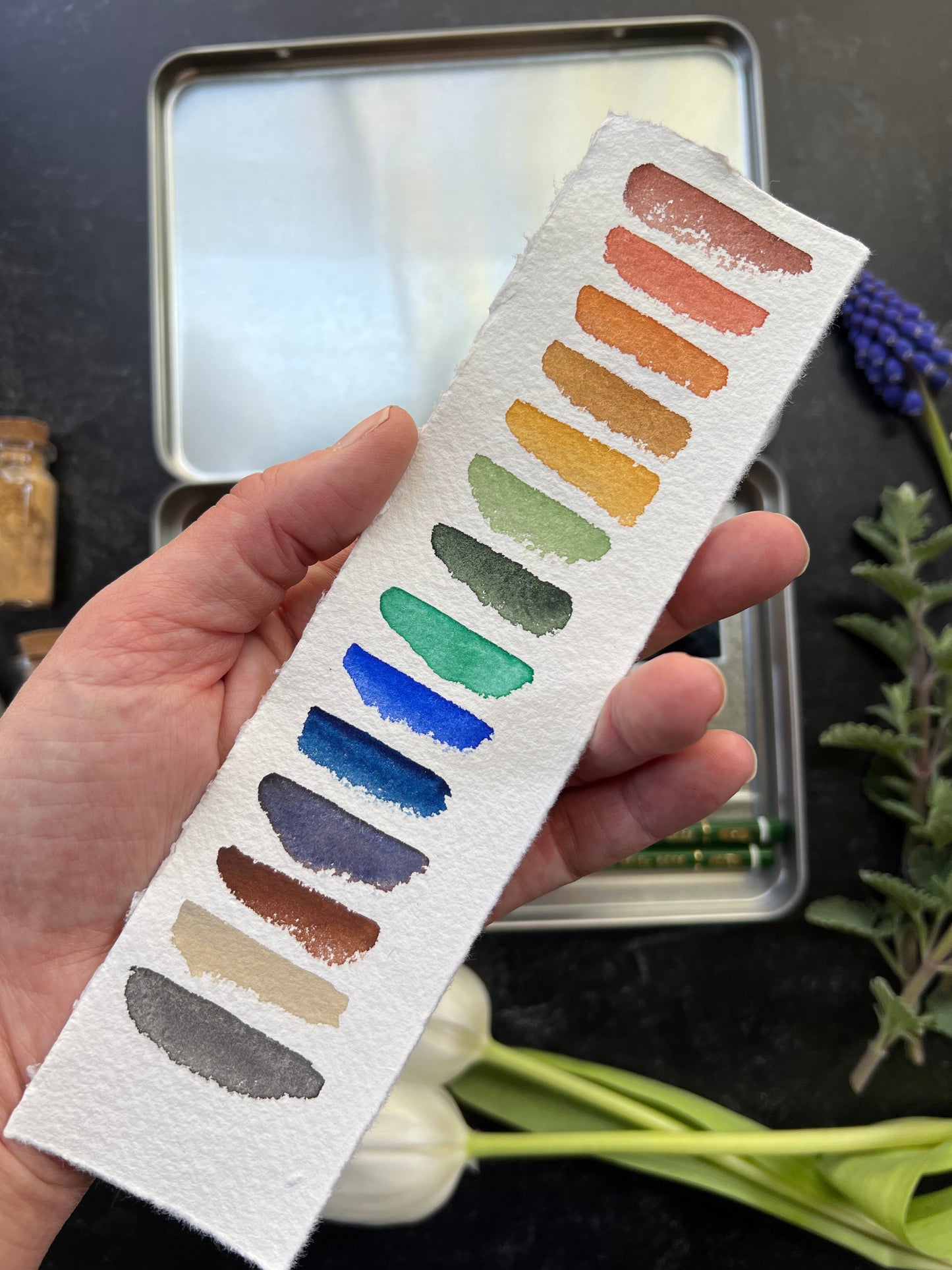 Landscape Essentials Full Pan Palette Set