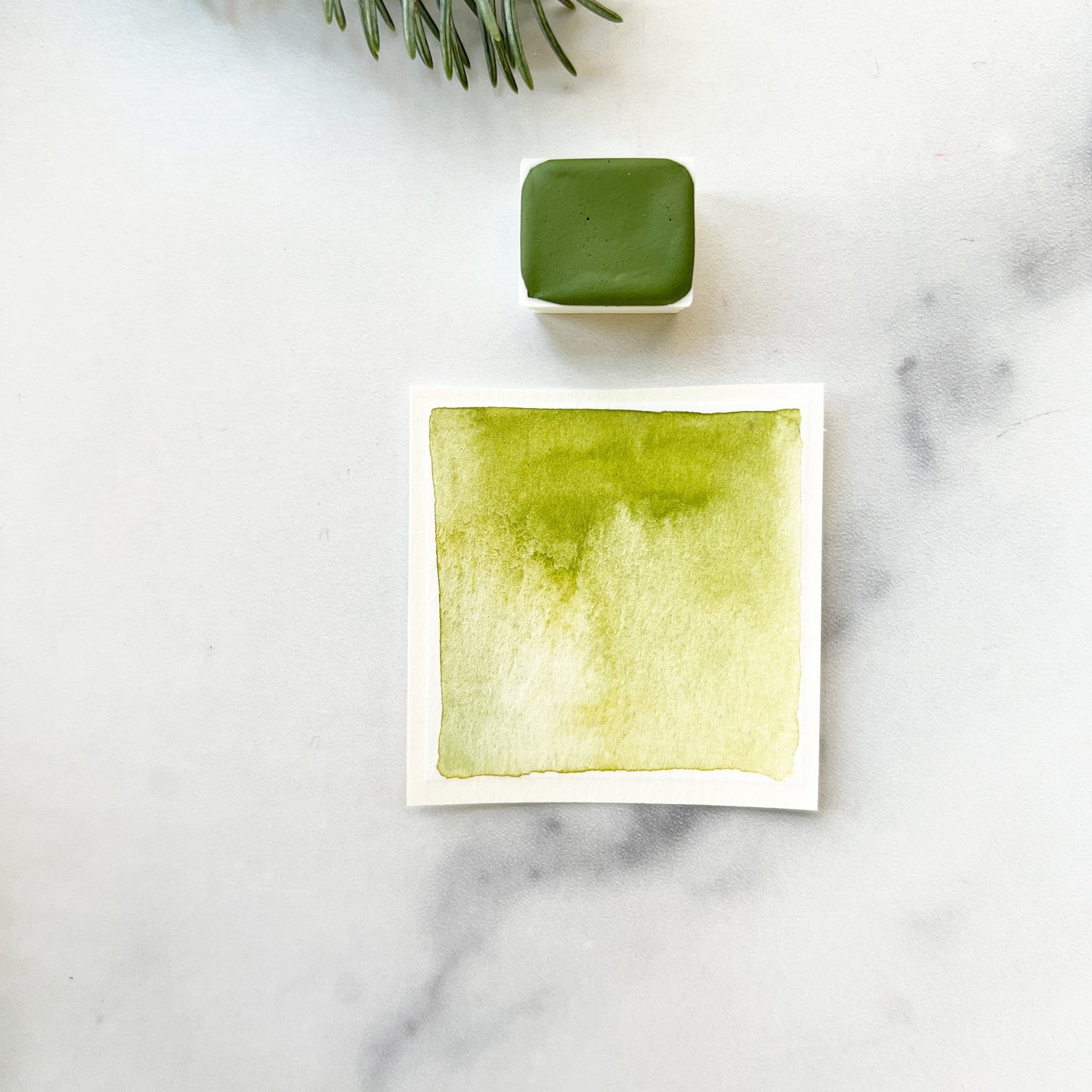 Mistletoe. Half pan, full pan or bottle cap of handmade watercolor paint