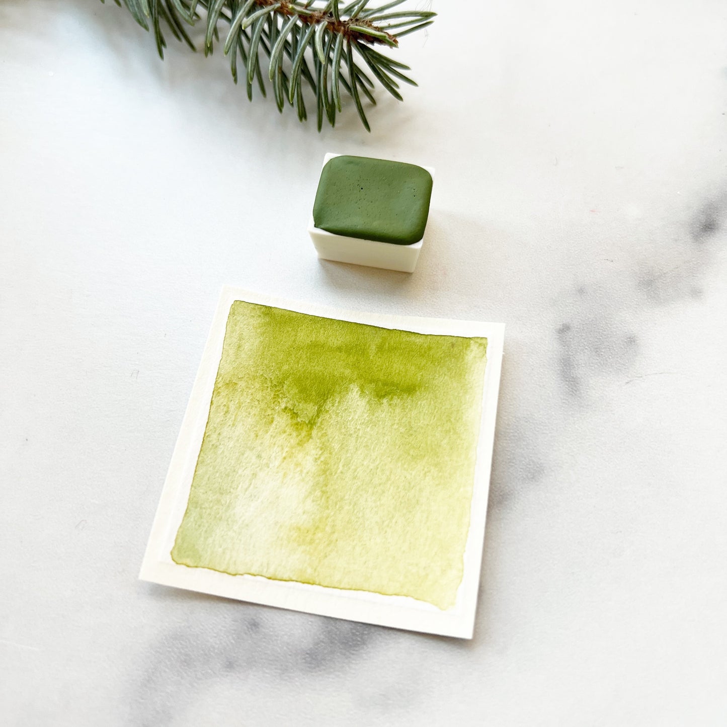 Mistletoe. Half pan, full pan or bottle cap of handmade watercolor paint