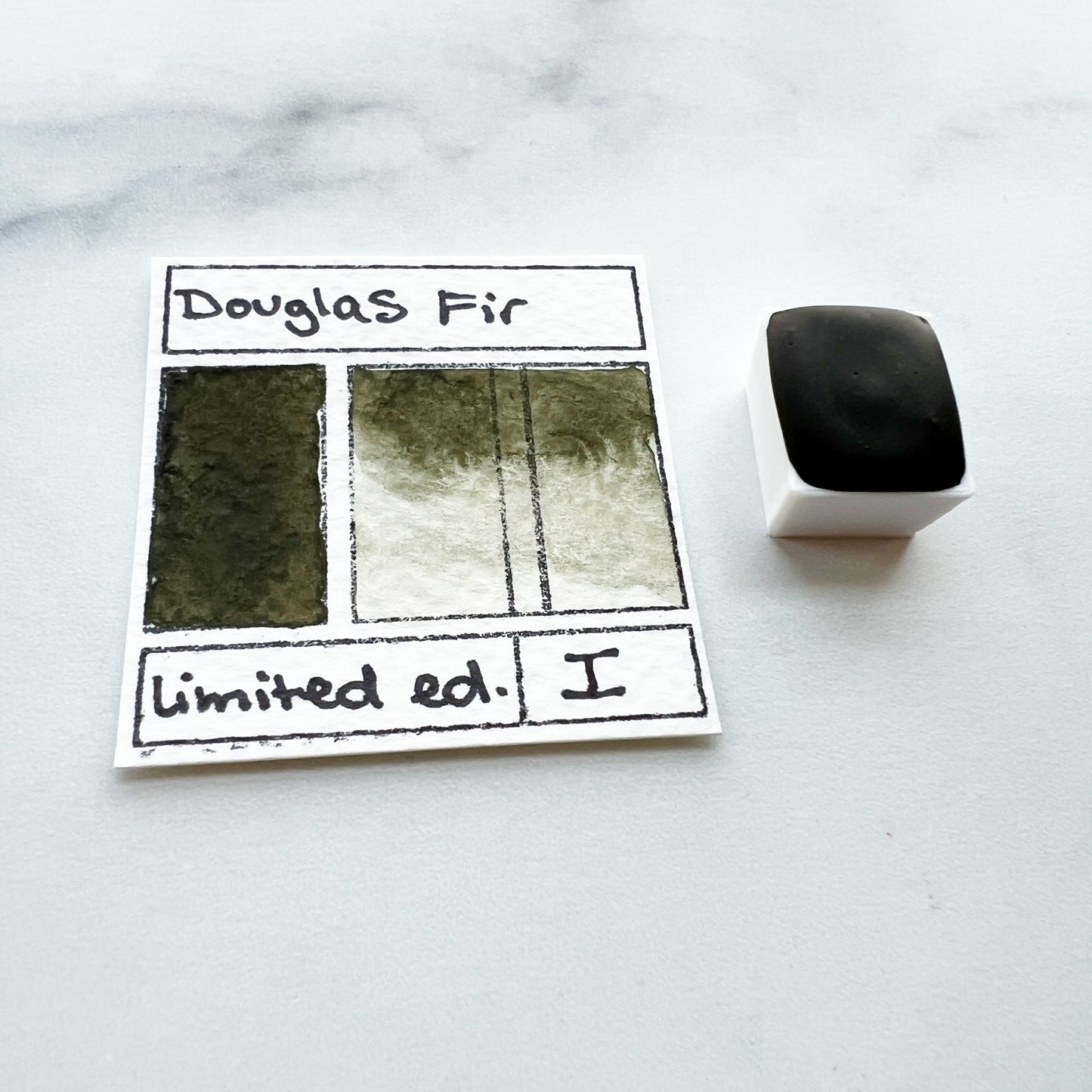 Douglas Fir, individual pan of watercolor paint