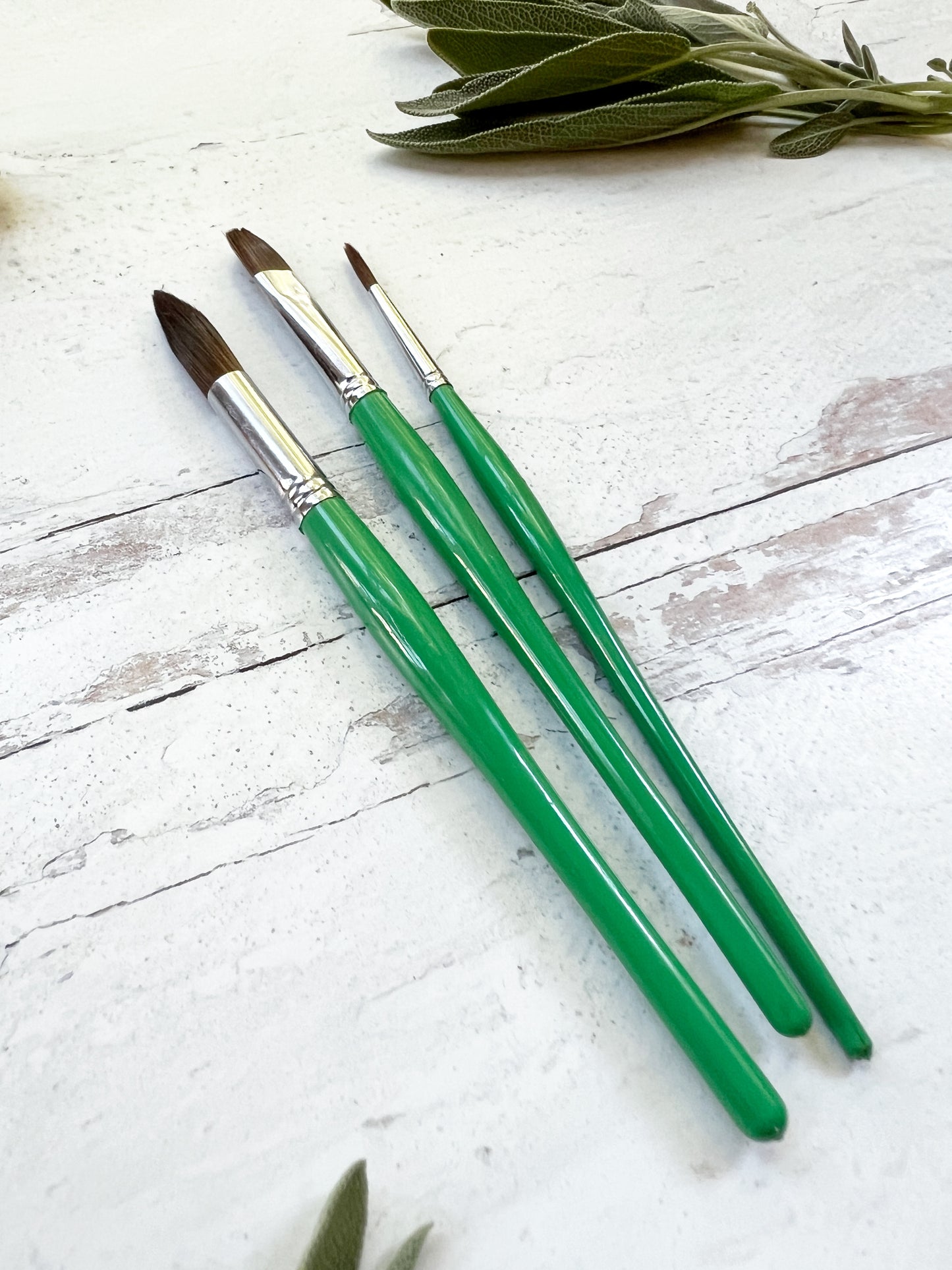 Synthetic Brush Set and Nomad Pouch