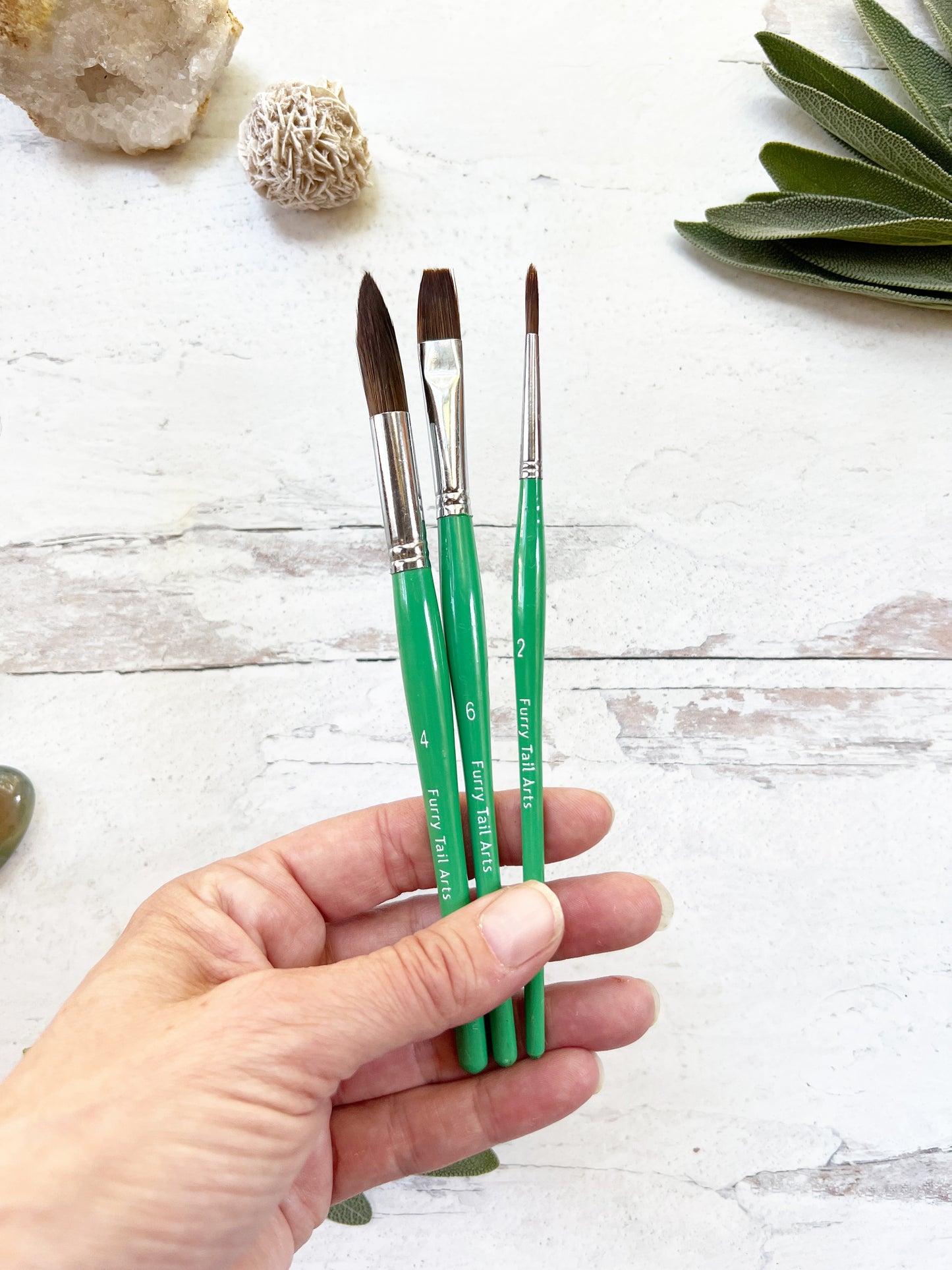 Synthetic Brush Set and Nomad Pouch