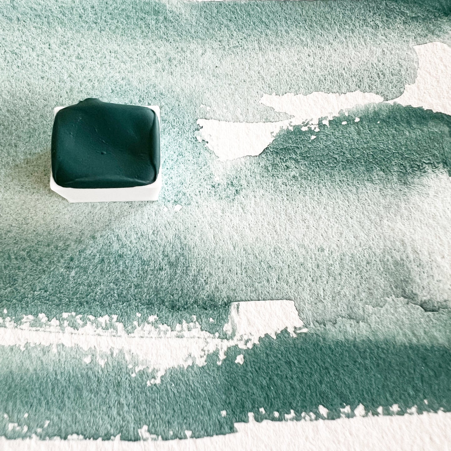 Redwood Grove. Half pan, full pan or bottle cap of handmade watercolor paint