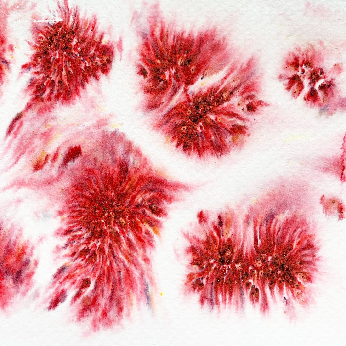 Rose Red Pigment Salt Sprinkle