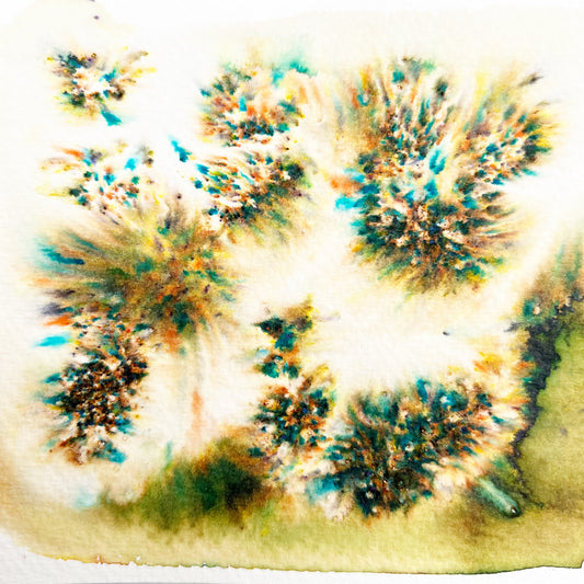 Earth Pigment Salt Sprinkle