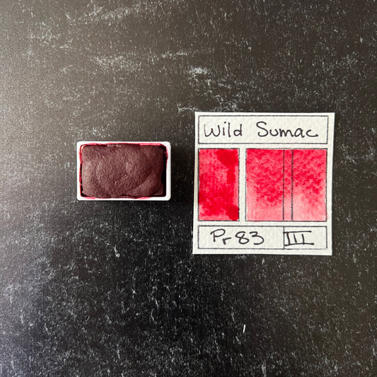 Wild Sumac. Individual pan of handmade watercolor paint