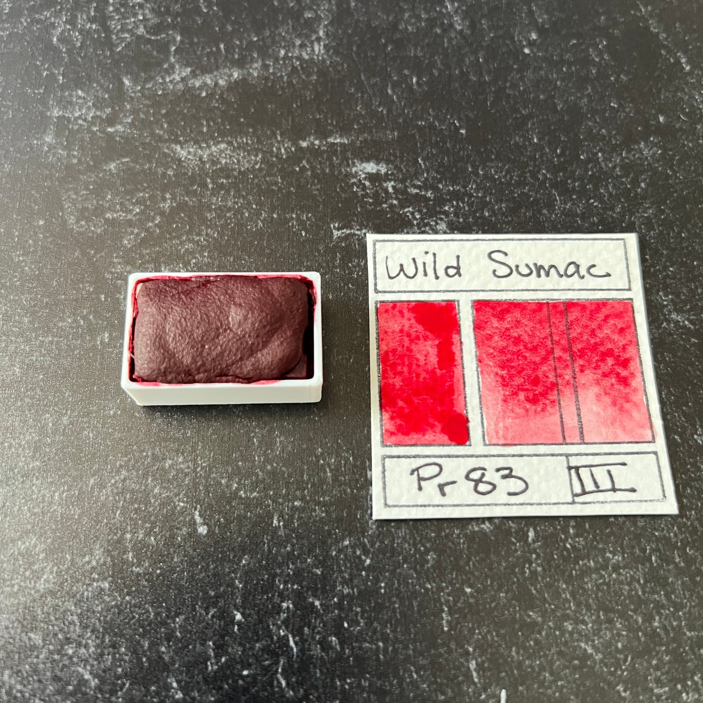 Wild Sumac. Individual pan of handmade watercolor paint