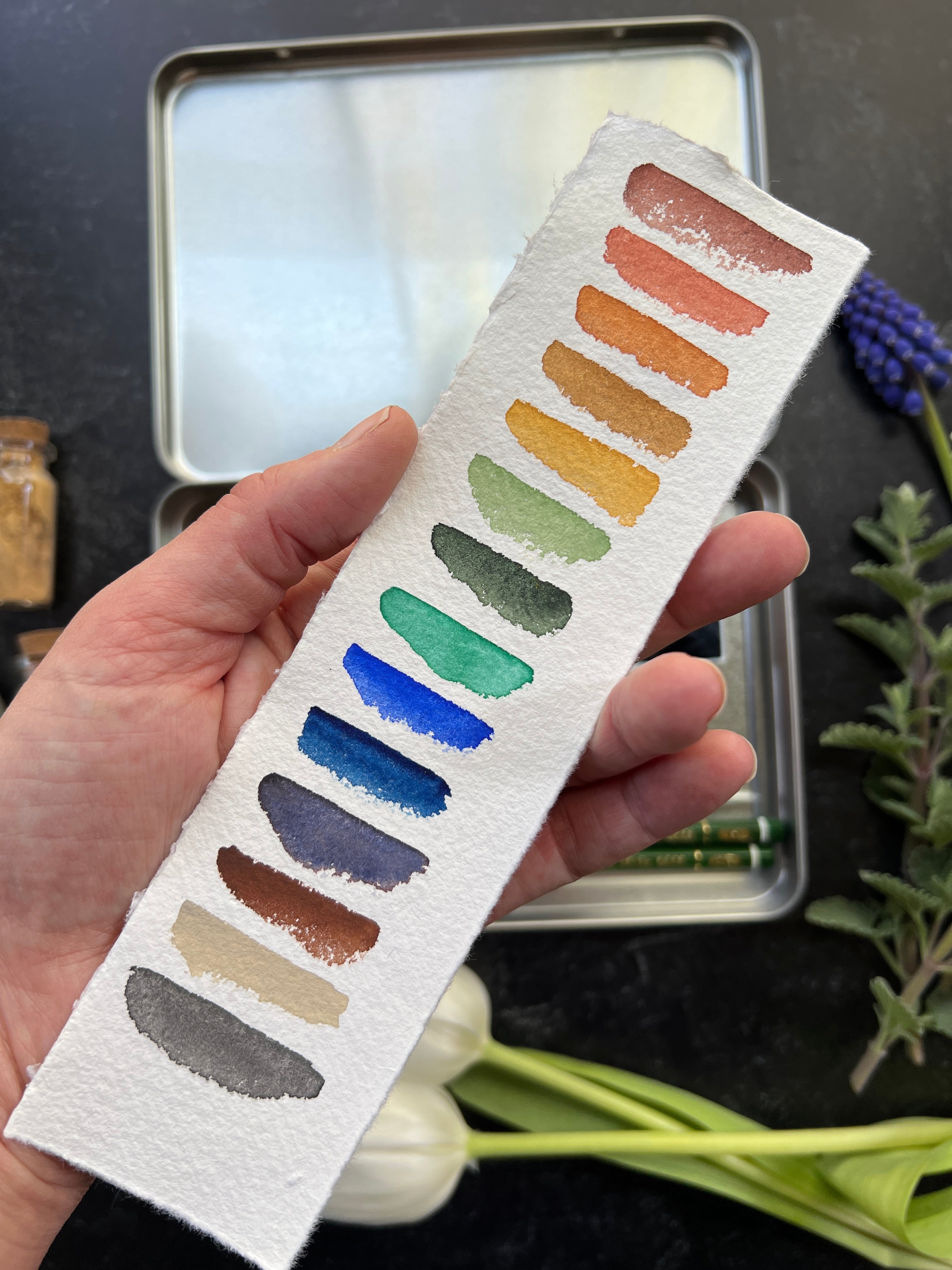 Landscape Essentials Full Pan Palette Set