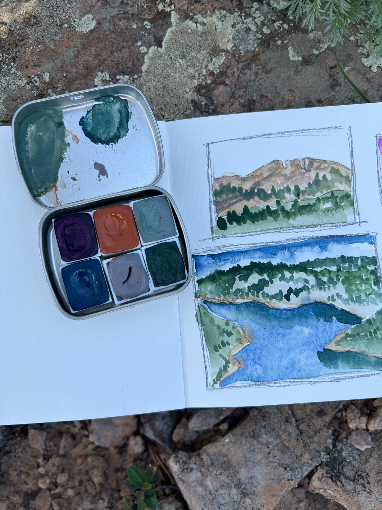Reservoir Ridge Palette,  a palette of handmade watercolor paint