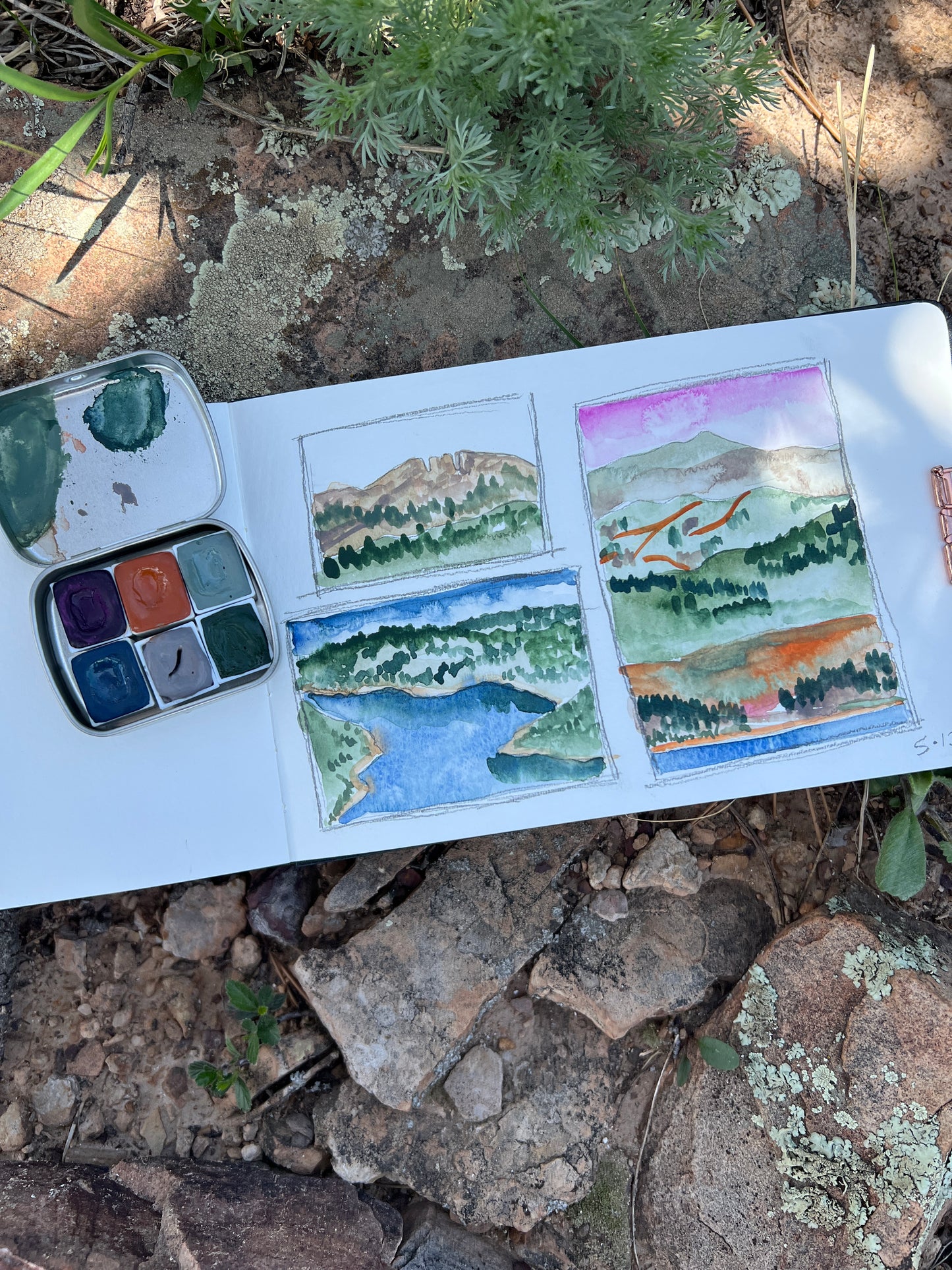 Reservoir Ridge Palette,  a palette of handmade watercolor paint