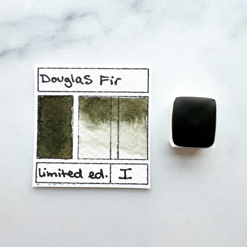 Douglas Fir, individual pan of watercolor paint