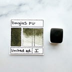 Douglas Fir, individual pan of watercolor paint