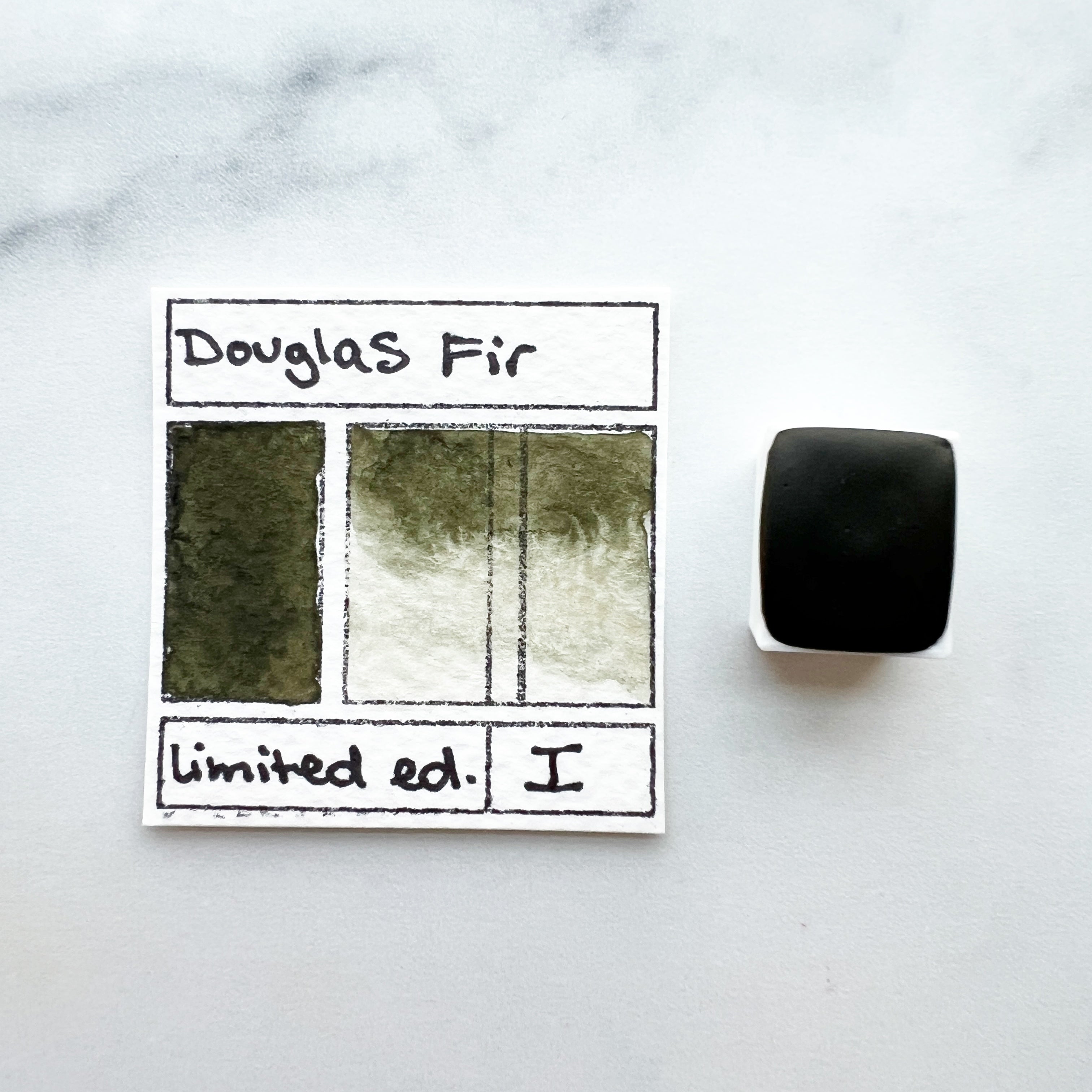 Douglas Fir, individual pan of watercolor paint