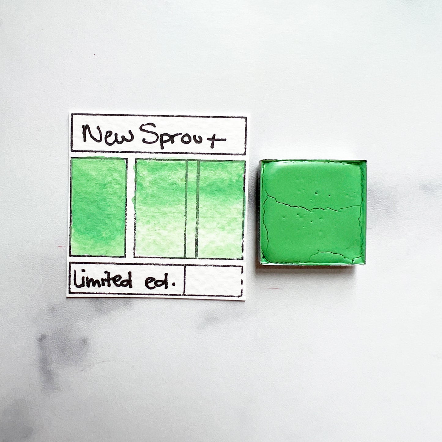 New Sprout. Half pan or bottle cap of handmade watercolor paint