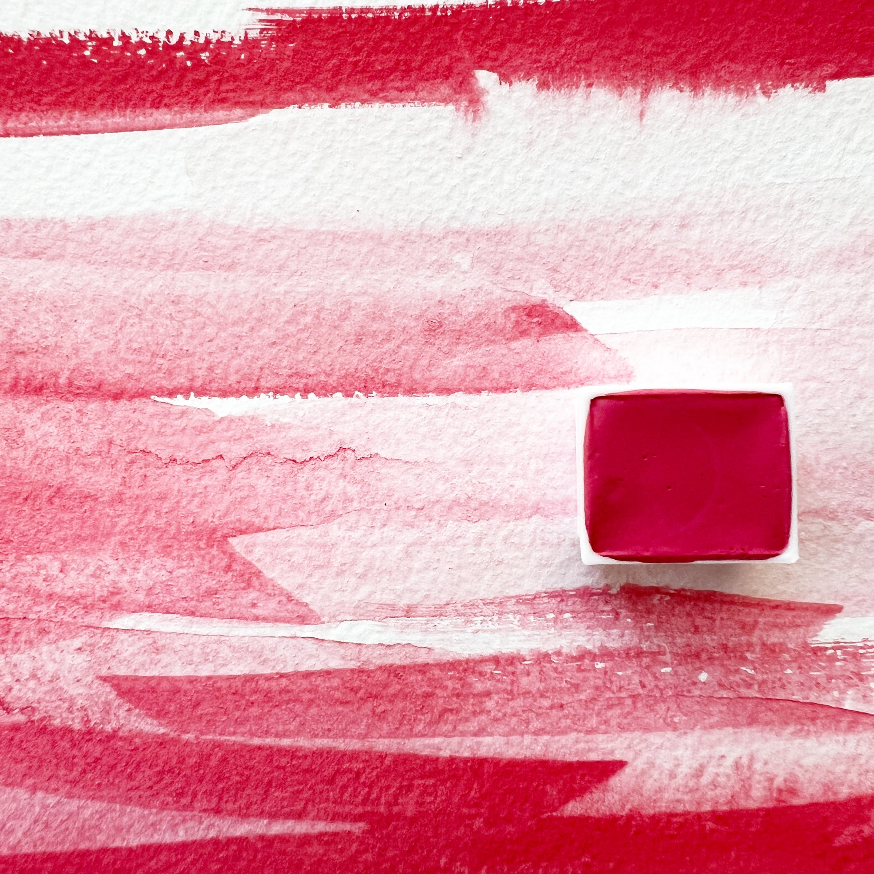 RM Poinsettia. Half pan, full pan or bottle cap of handmade watercolor paint