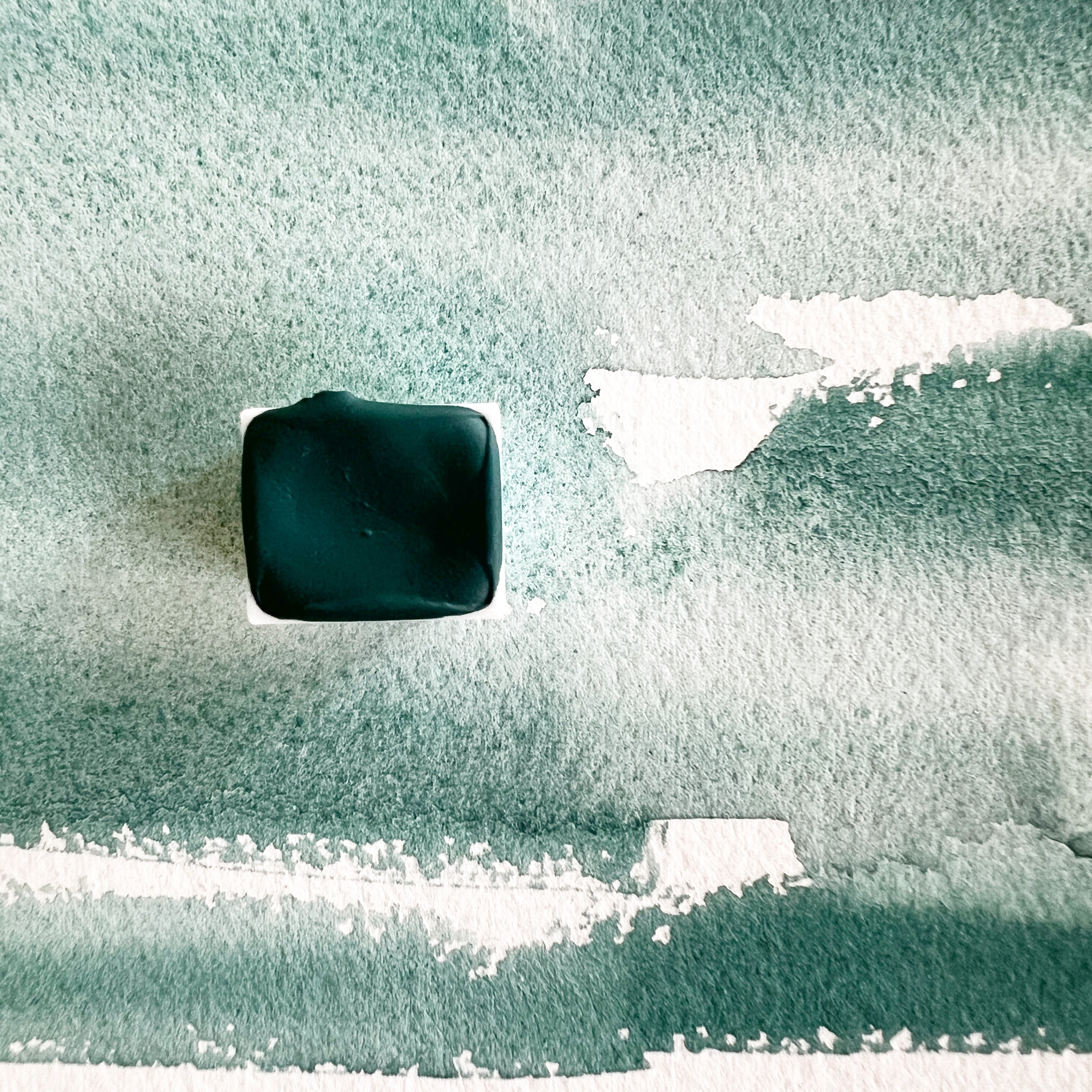 Redwood Grove. Half pan, full pan or bottle cap of handmade watercolor paint