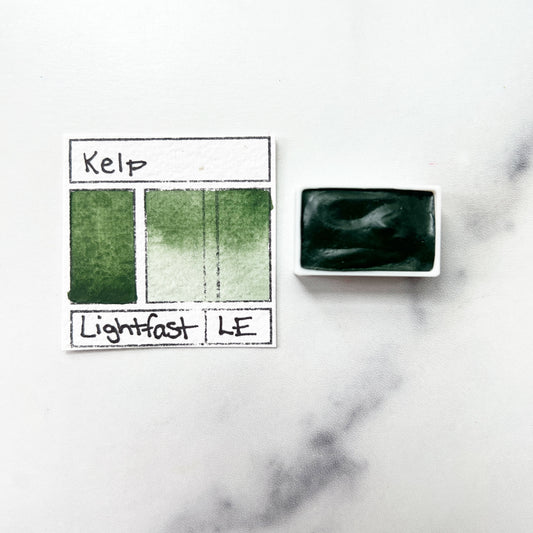 Kelp. Individual pan of handmade watercolor paint