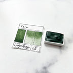 Kelp. Individual pan of handmade watercolor paint