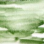 Kelp. Individual pan of handmade watercolor paint
