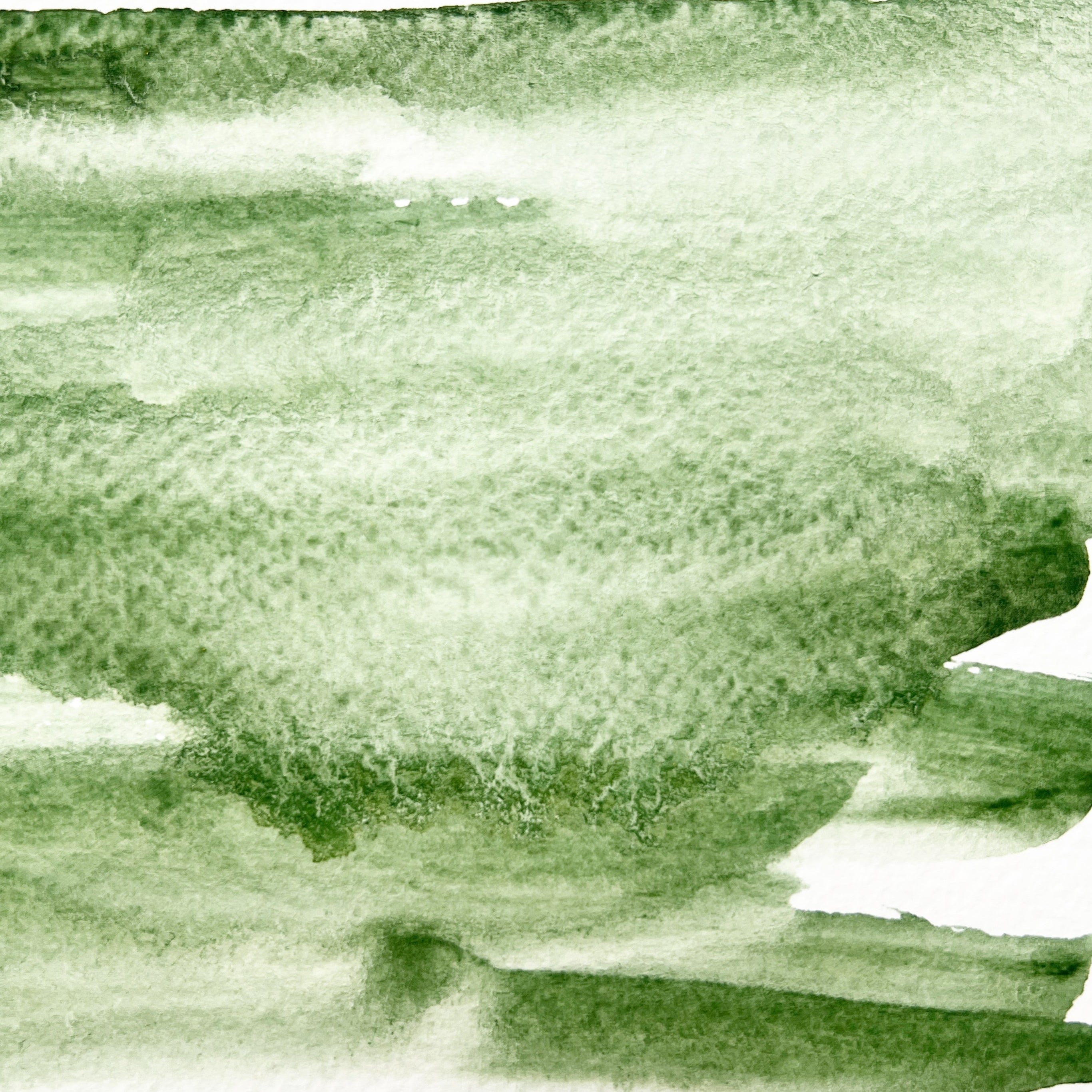 Kelp. Individual pan of handmade watercolor paint