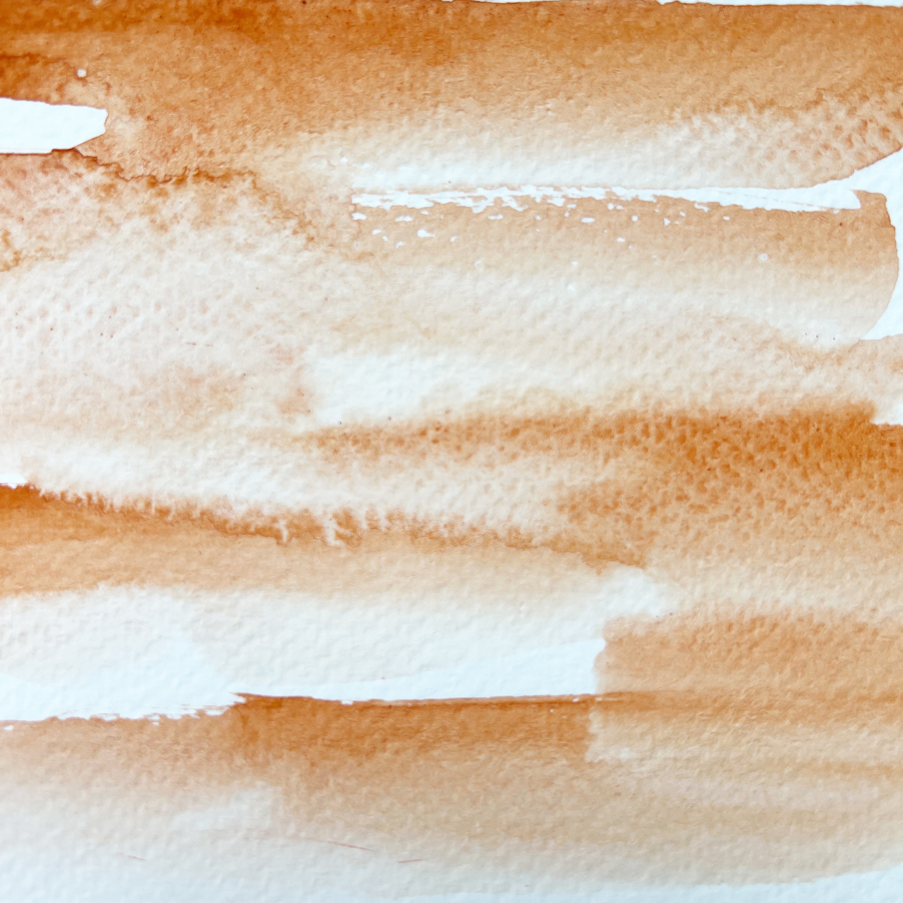 Persimmon. Individual pan of handmade watercolor paint