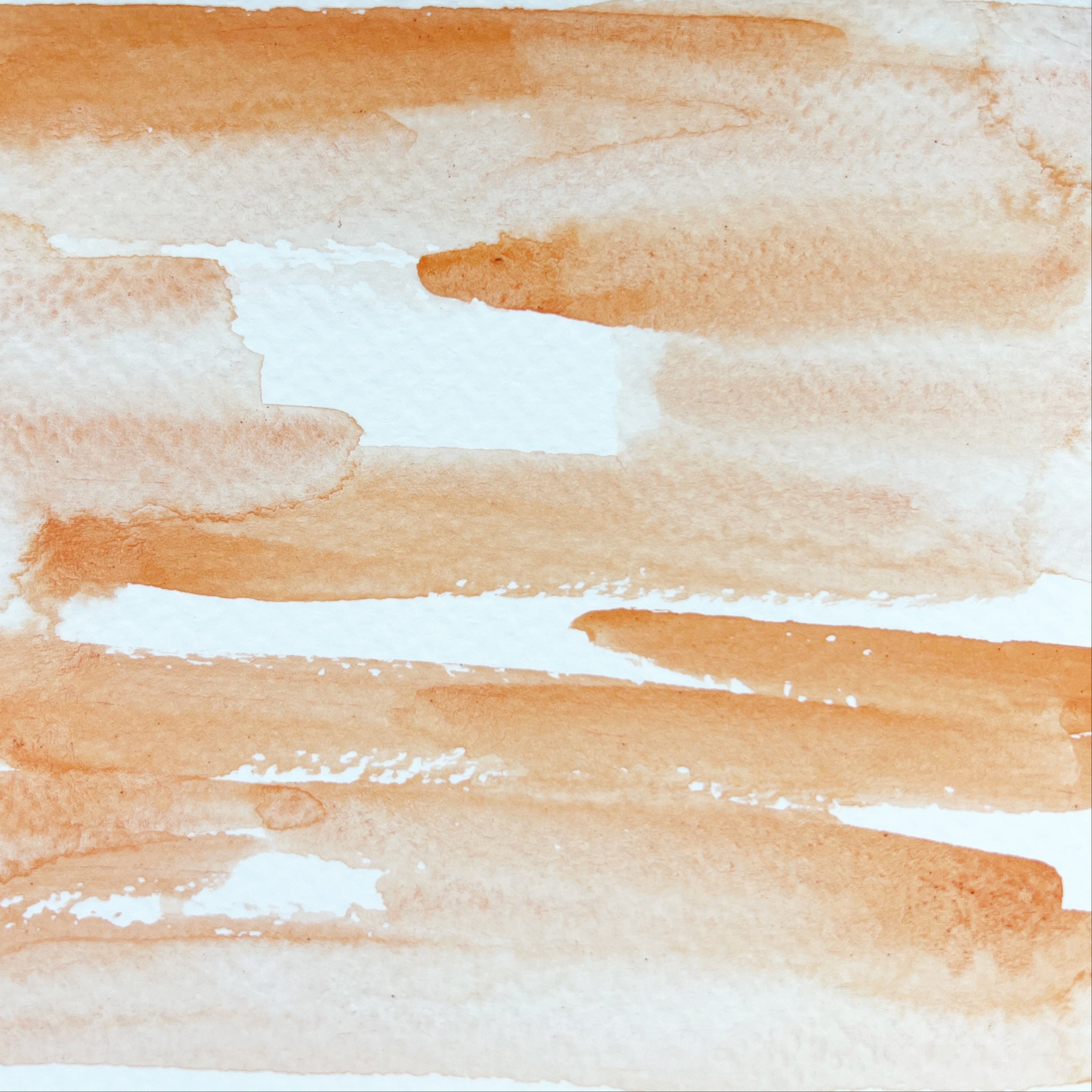 Globemallow. Individual pan of handmade watercolor paint