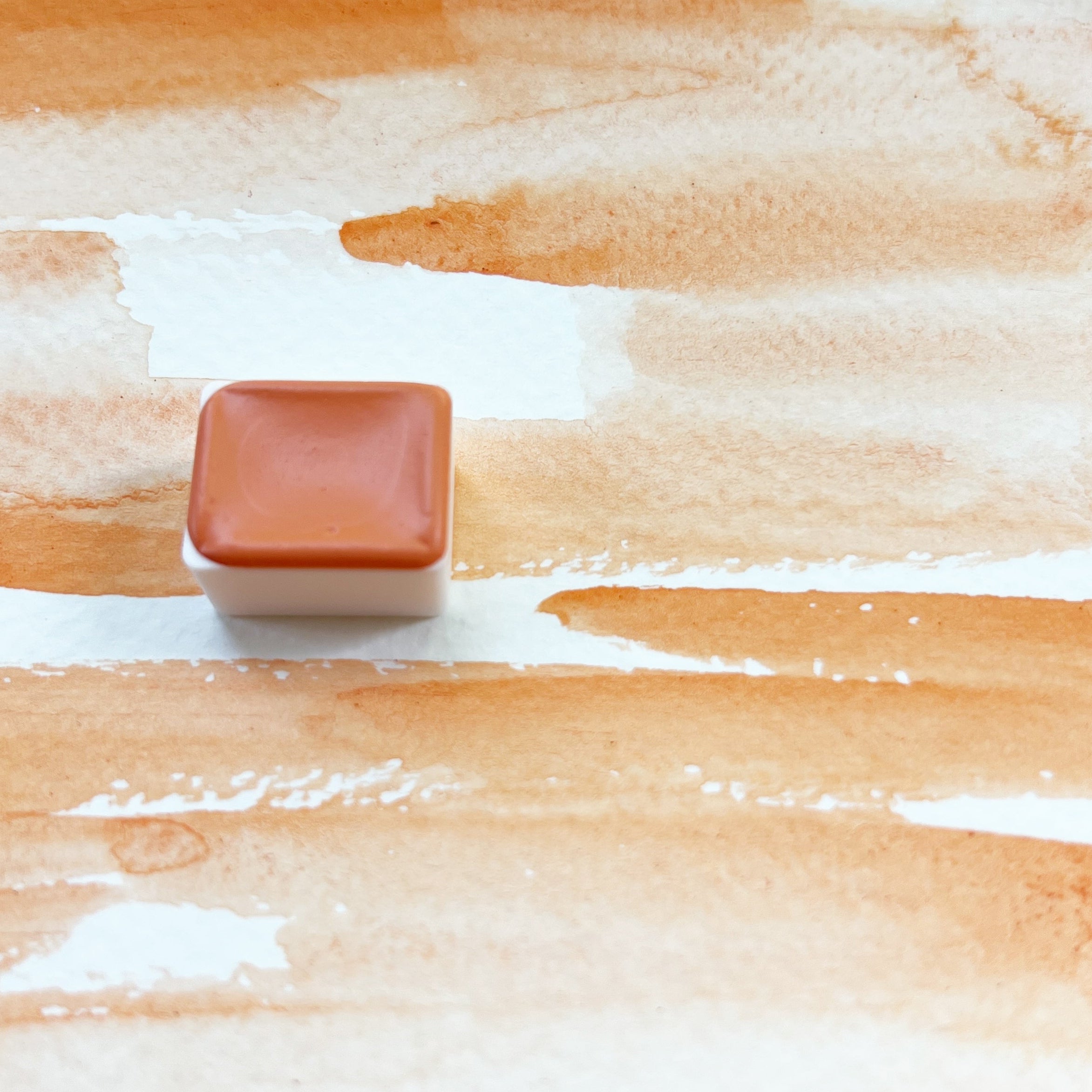 Globemallow. Individual pan of handmade watercolor paint