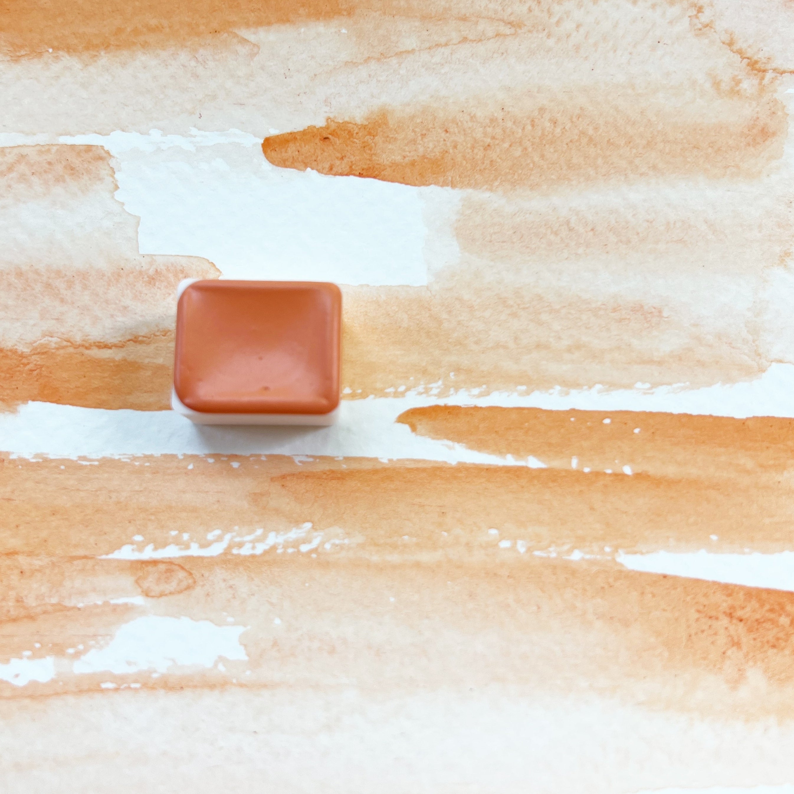 Globemallow. Individual pan of handmade watercolor paint