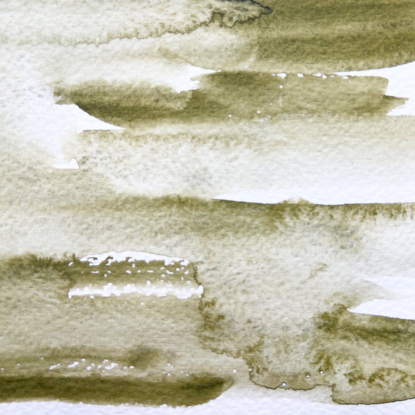 Pine. Half pan, full pan or bottle cap of handmade watercolor paint