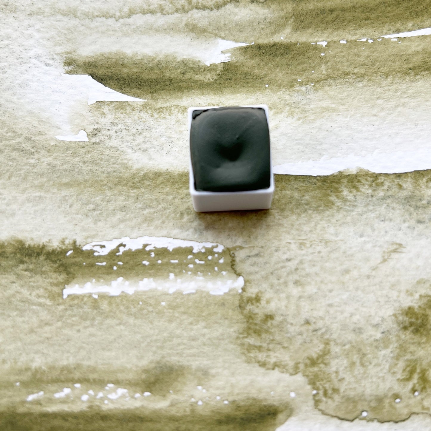 Pine. Half pan, full pan or bottle cap of handmade watercolor paint