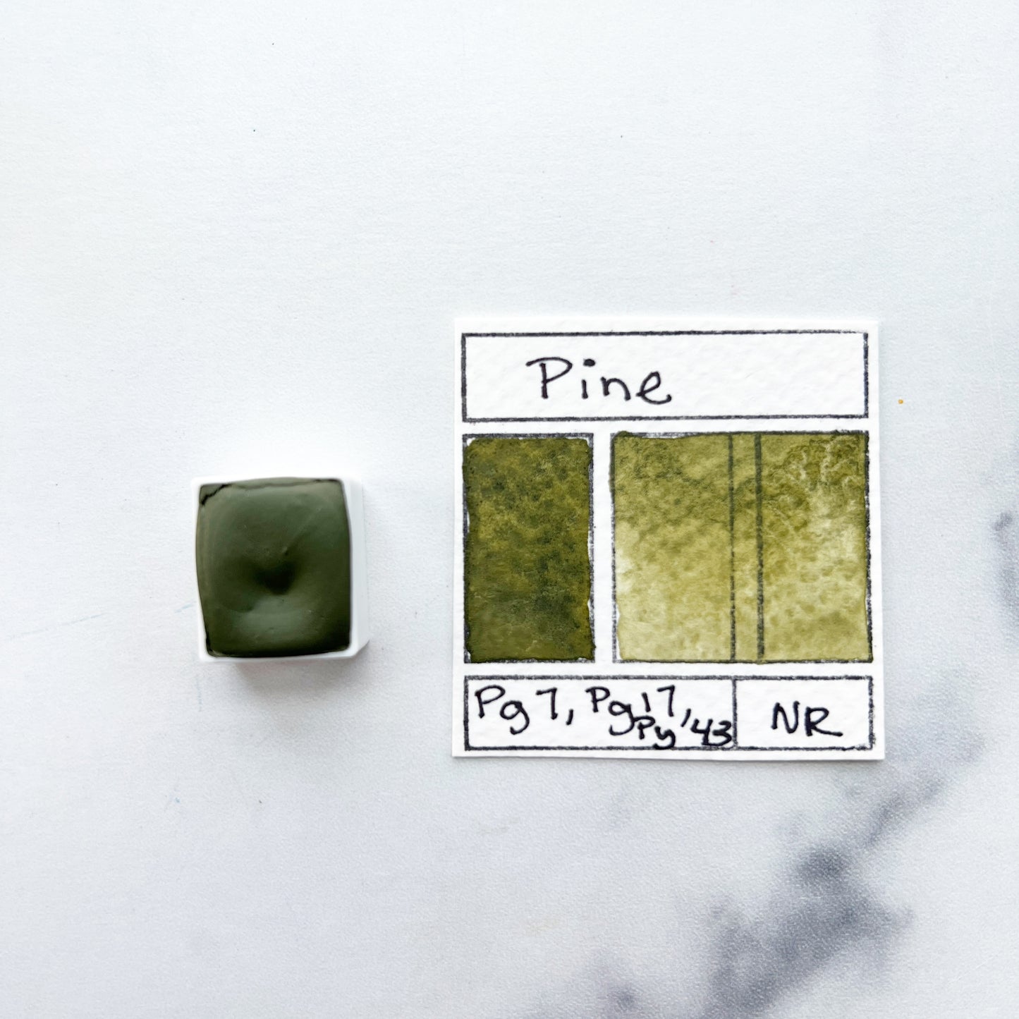 Pine. Half pan, full pan or bottle cap of handmade watercolor paint