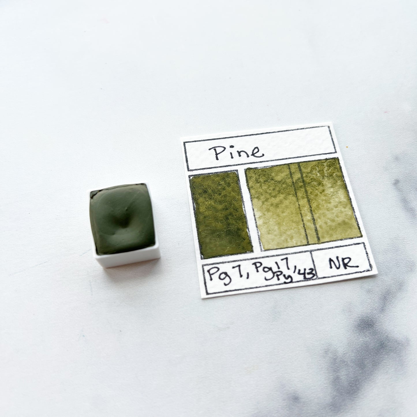 Pine. Half pan, full pan or bottle cap of handmade watercolor paint