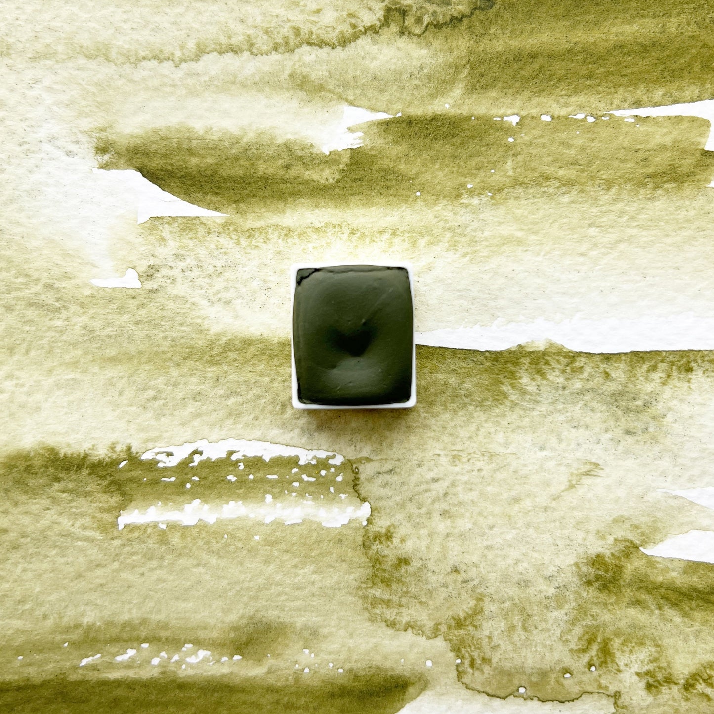 Pine. Half pan, full pan or bottle cap of handmade watercolor paint