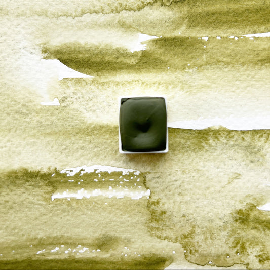 Pine. Half pan, full pan or bottle cap of handmade watercolor paint