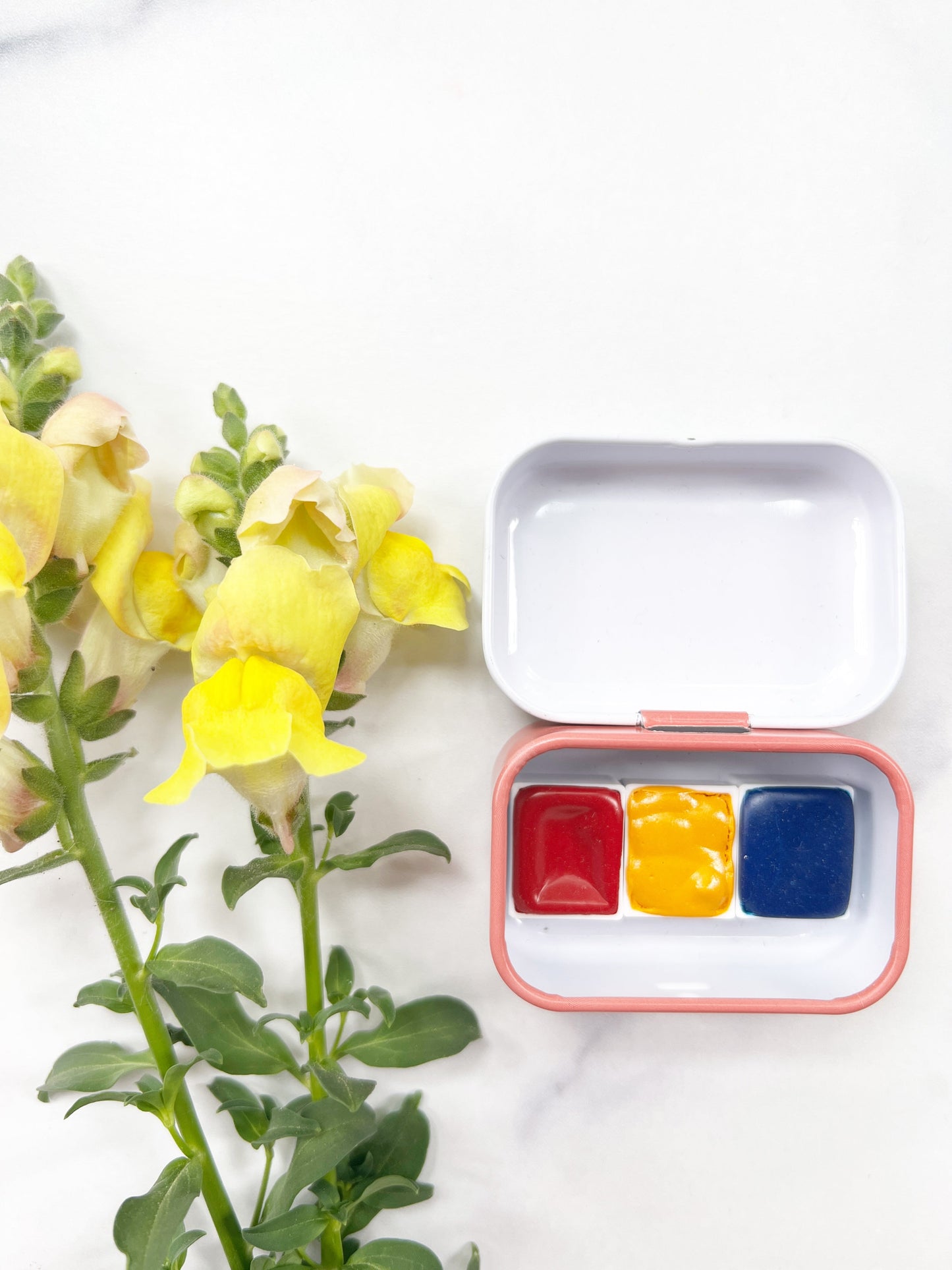 Mount Lincoln Primary Palette