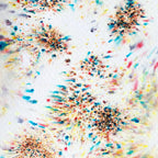 High Desert Pigment Salt Sprinkle