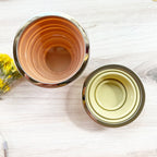 Collapsible Water Cup for Plein Air Painting