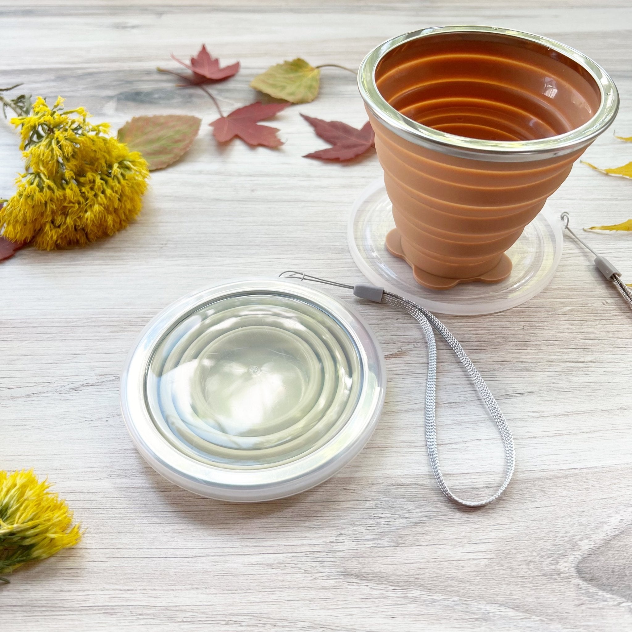 Collapsible Water Cup for Plein Air Painting