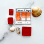 Ercolano Orange, individual pan in multiple sizes.