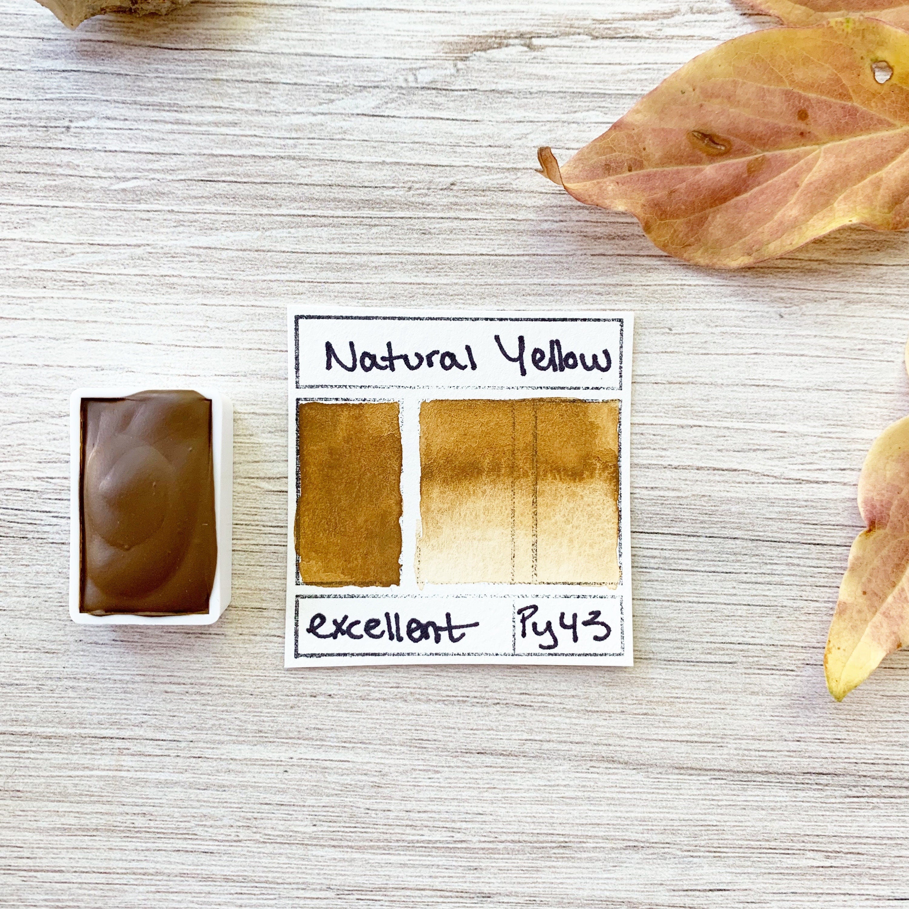 Natural Yellow. Half pan, full pan or bottle cap of handmade watercolor paint