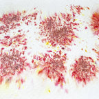 Sunburst Pigment Salt Sprinkle - Ruby Mountain