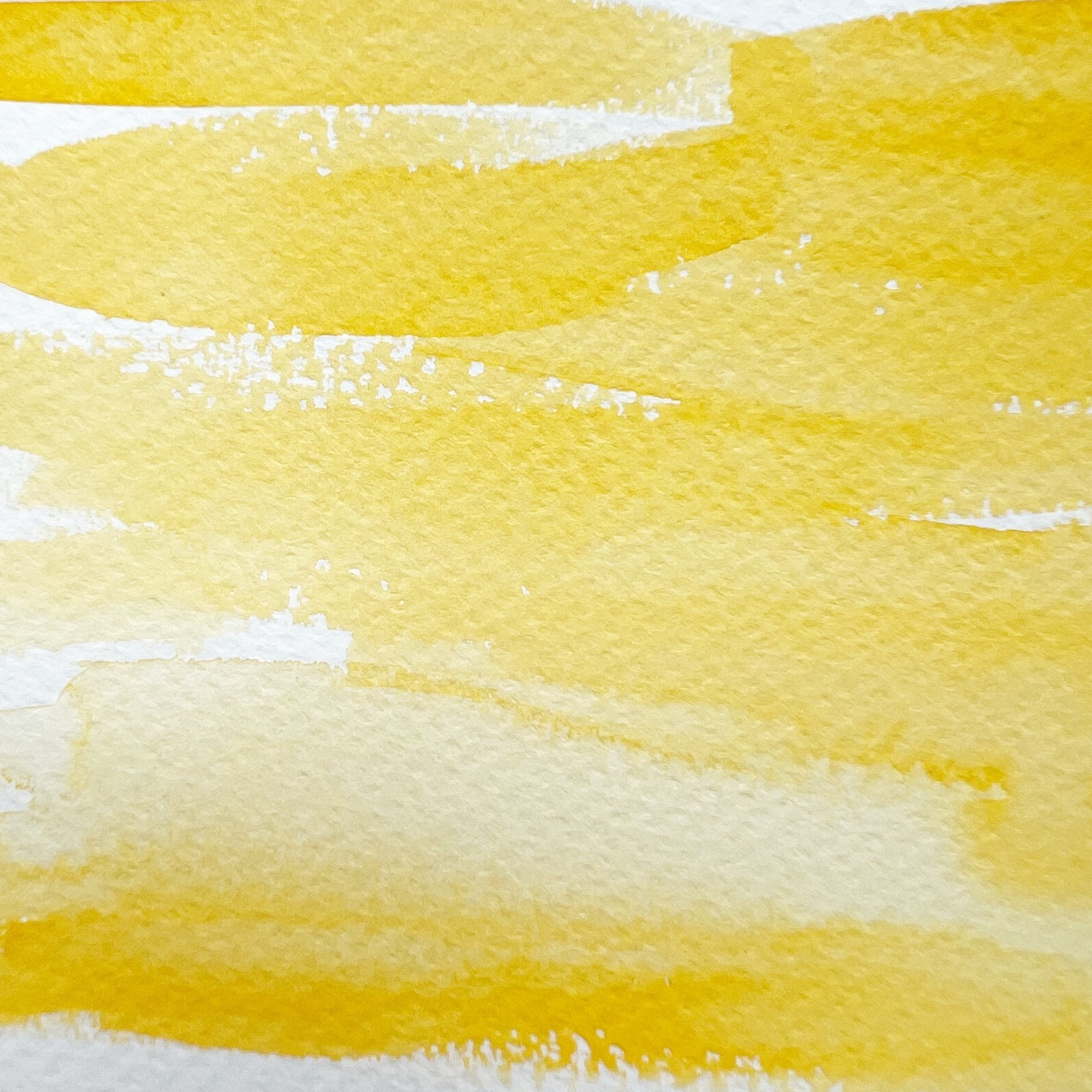 Sunflower. Half pan, full pan or bottle cap of handmade watercolor paint - Ruby Mountain