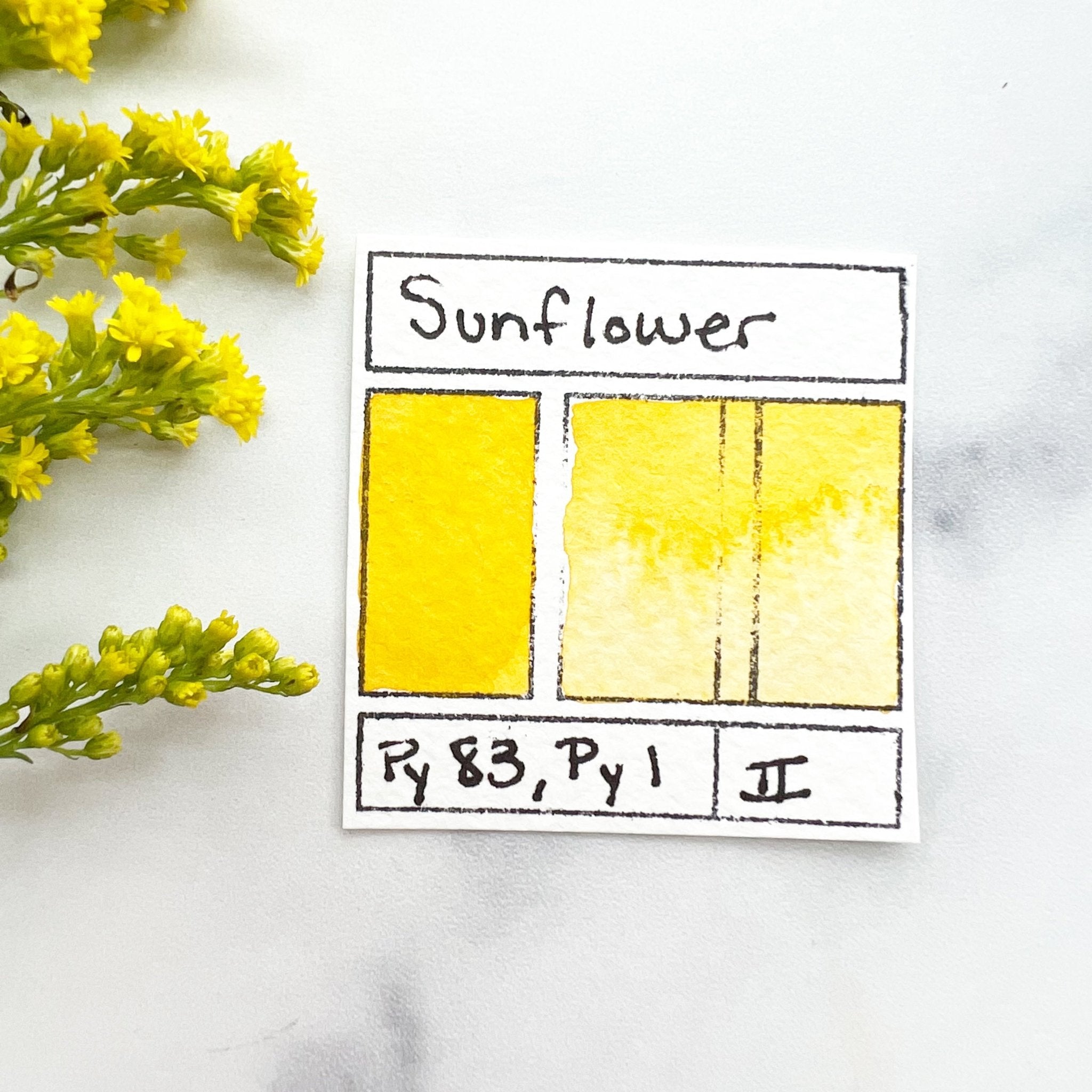 Sunflower. Half pan, full pan or bottle cap of handmade watercolor paint - Ruby Mountain