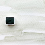 Terre Verte. Half pan, full pan or bottle cap of handmade watercolor paint - Ruby Mountain